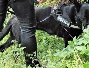 Κέρκυρα: Το Κ-9 της ΕΛ. ΑΣ. βρήκε άλλο 1,5 κιλό ηρωίνης